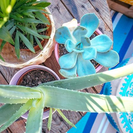 The Kalifornia I Stilvoll Mit Urlaubsfeeling I Dachterrasse I Klima Apartment Karlsruhe Ngoại thất bức ảnh