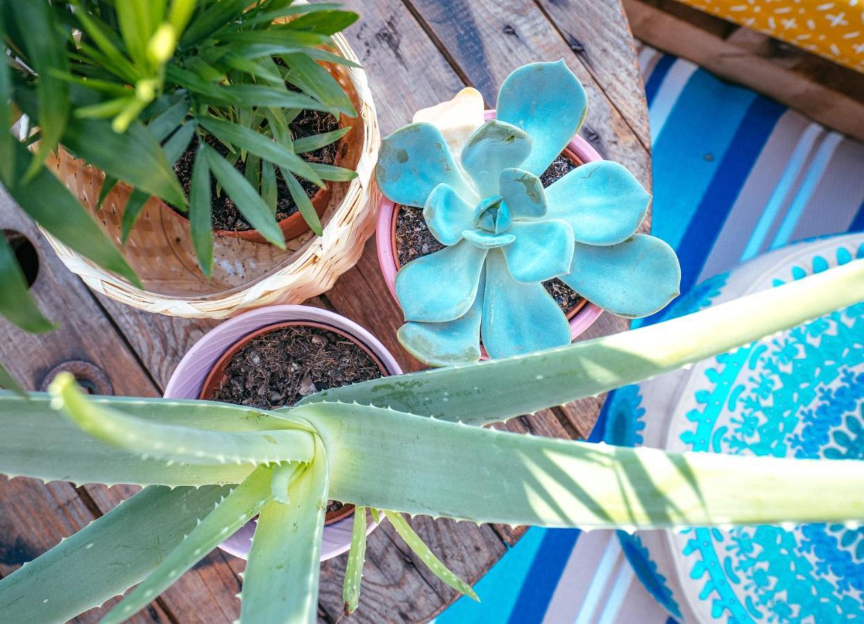 The Kalifornia I Stilvoll Mit Urlaubsfeeling I Dachterrasse I Klima Apartment Karlsruhe Ngoại thất bức ảnh